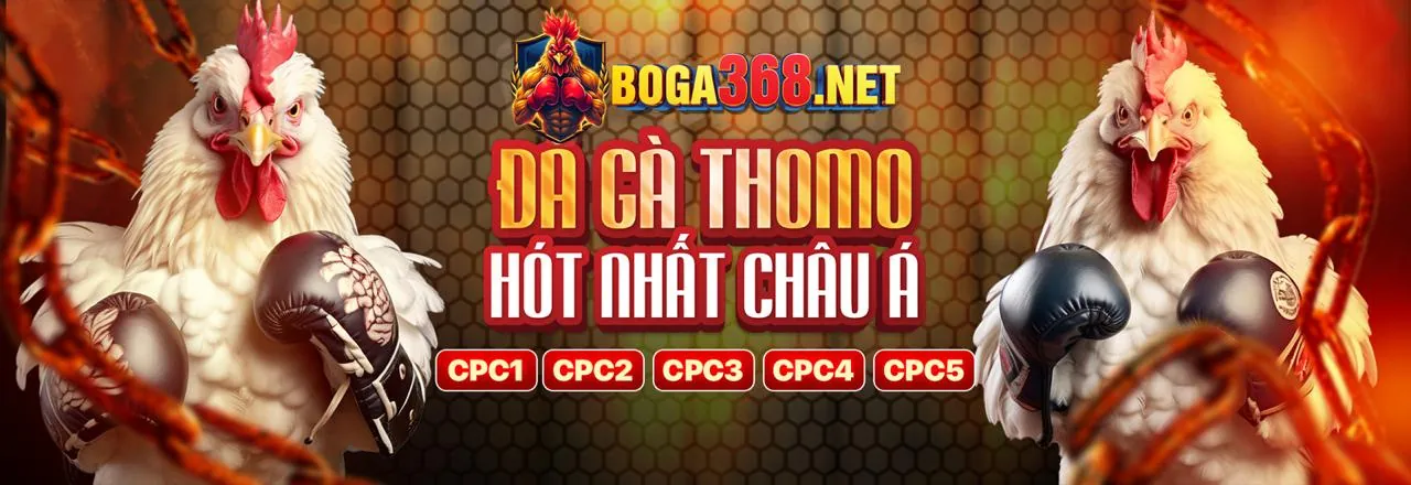 Hoàn trả cược bắn cá jb77
